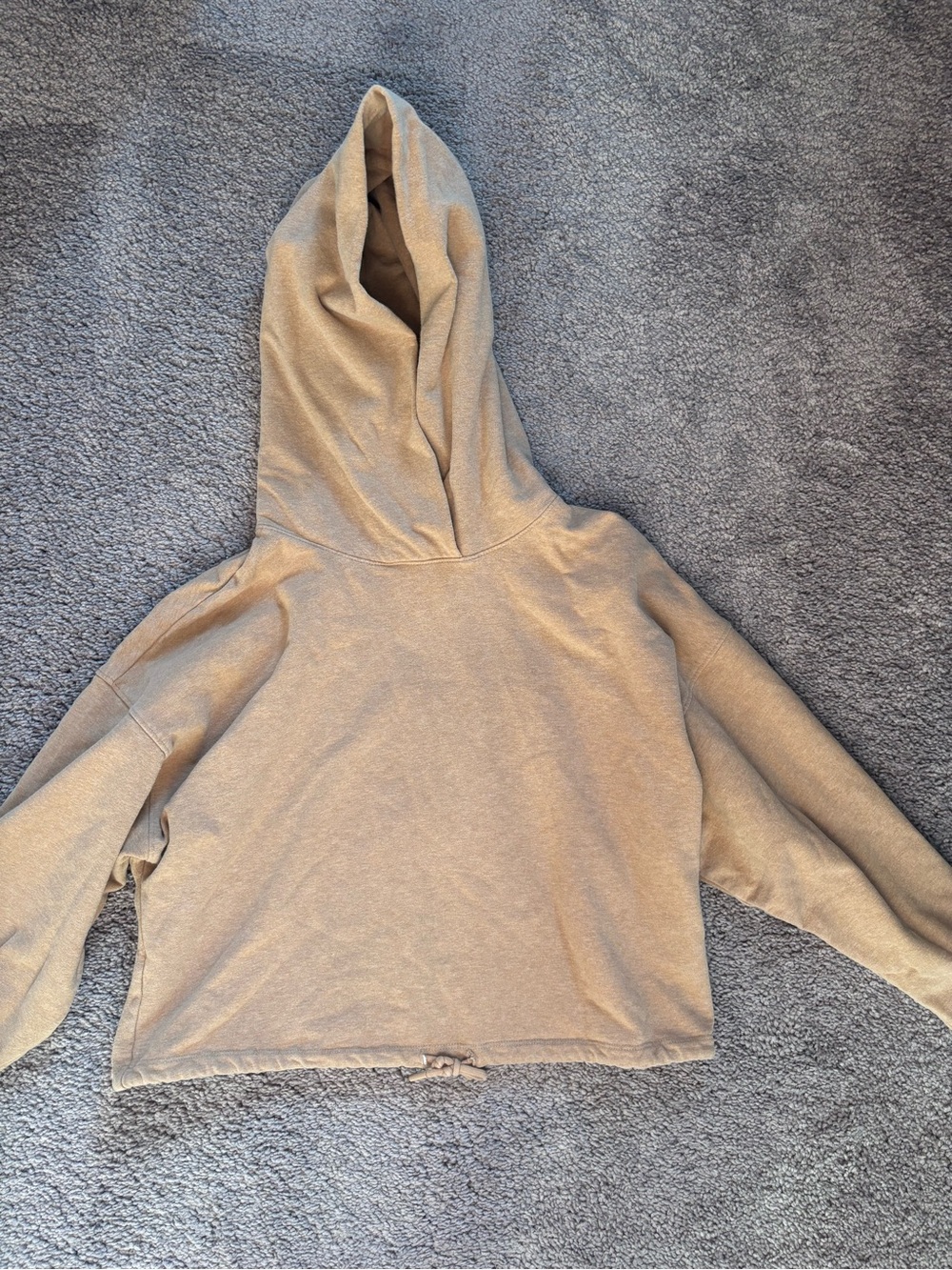 Babaton Cropped Light Tan Caramel Hooded Sweatshirt
